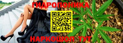 шишки Бугуруслан